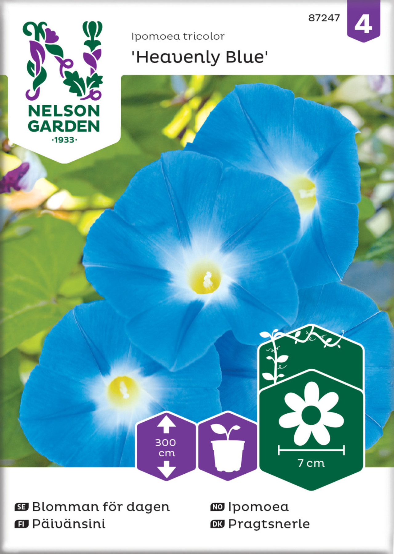 nelson-pg4-fr-blomman-f-r-dagen-heavenly-blue-eko