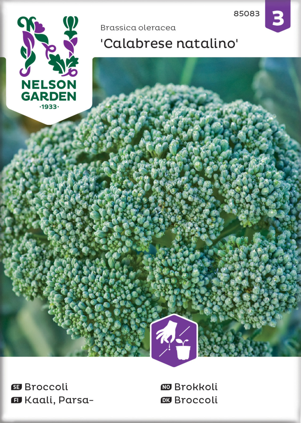 Cavolo Broccolo Calabrese Precoce (60 Giorni): Varietà E Formati - Foto 11