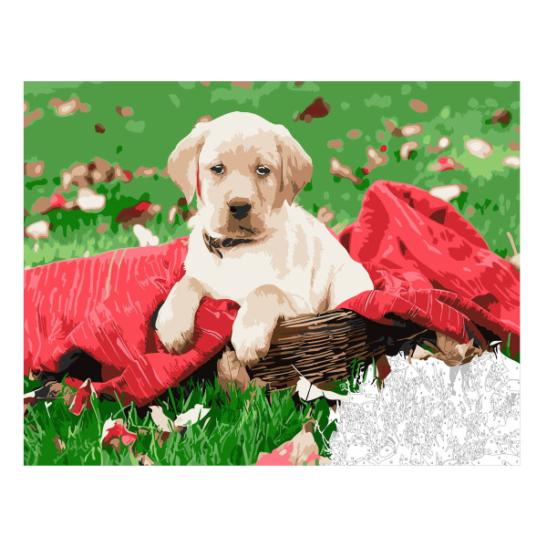 Paint By Number Hund PANDURO EKO