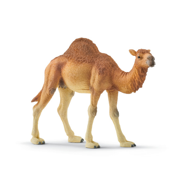 Schleich Dromedary - Schleich