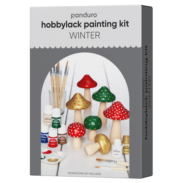 Hobbylack Winter PaintingKit PANDURO EKO