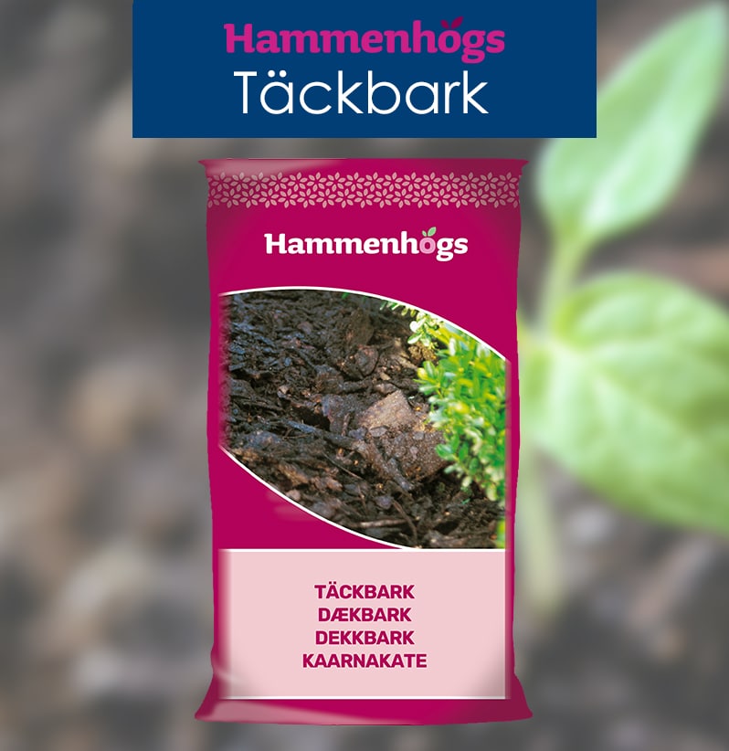 Jord planteringsjord, matjord, blomjord EKO